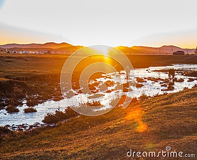 The pasture under the radiance of the setting sun Stock Photo
