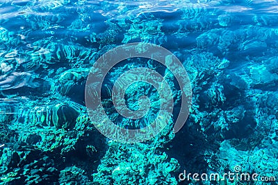 Under the sea Visible Stock Photo