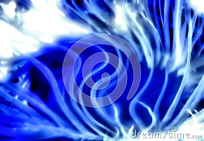 Under water photo of illuminated sea creature Stock Photo