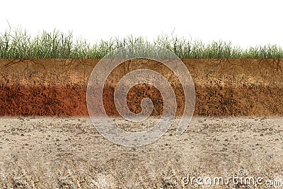 Underground soil layer of cross-section earth with grass on the top Stock Photo