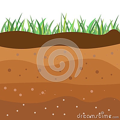 Underground soil layers, green grass surface.Brown clay structure, topsoil field environment and nature geology illustration. Cartoon Illustration