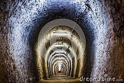 underground theme park in salt mine Salina Turda Editorial Stock Photo