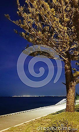 Underlit tree, path, stairs and ocean. Stock Photo