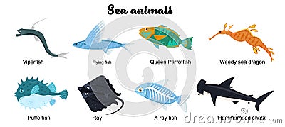 Undersea inhabitants. Endangered species. Sea animals set Vector Illustration