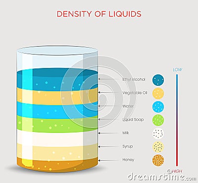 Understanding the Density of Liquids How Different Liquids Interact Based on Density Vector Illustration