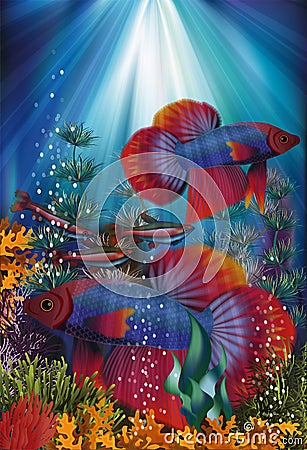 Underwater banner with Betta Splendens and Cardinal Tetra fish, vector i Vector Illustration