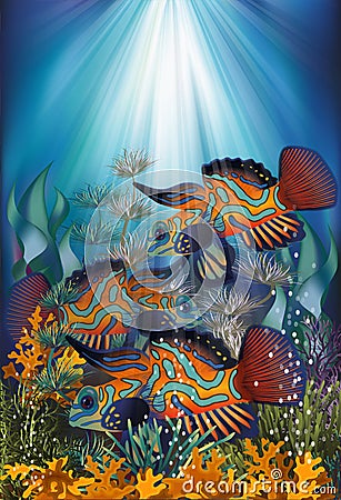 Underwater banner with Mandarin Dragonet fish Vector Illustration