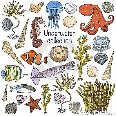 Underwater collection: shells, starfish, seaweed, deep sea fish, seahorse, jellyfish, octopus, squida Vector Illustration