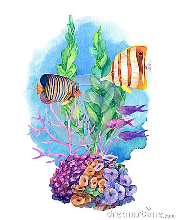 Underwater composition with coral reefs and tropical fish. Stock Photo