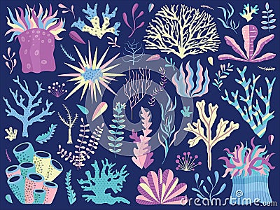 Underwater Coral Reef with Seaweeds and Anemones Vector Illustration