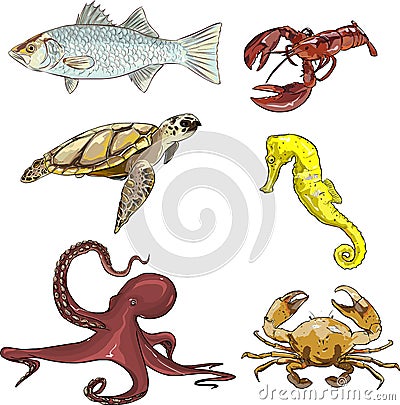 Underwater creatures Stock Photo