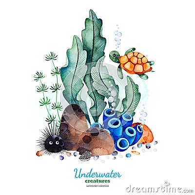 Watercolor composition with multicolored corals,seashells,seaweeds and turtle. Stock Photo