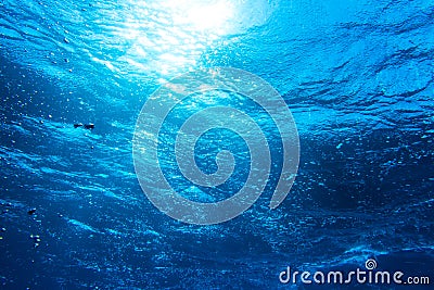 Underwater deep blue sea background Stock Photo