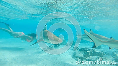 UNDERWATER: Fearless young female swims in the exotic sea with blacktip sharks. Stock Photo