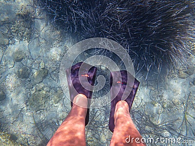 Underwater. Female legs in flippers in the blue-turquoise crystal clear water of the Antisamos beach, Sami Kefalonia island, Stock Photo
