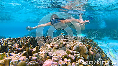 UNDERWATER: Female tourist snorkels around the colorful coral reef in Maldives. Stock Photo