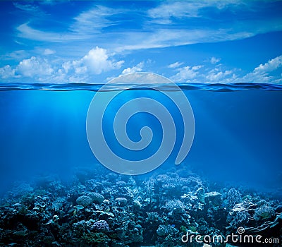 Underwater with horizon and water surface Stock Photo