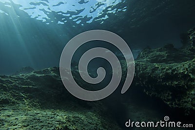 Underwater landscape scene Stock Photo
