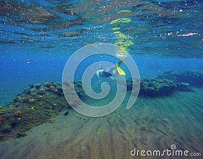 Underwater landscape with snorkeling man and coral reef. Sea bottom with sand and seaweeds Stock Photo