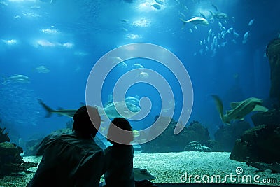 Underwater life at aquarium Stock Photo