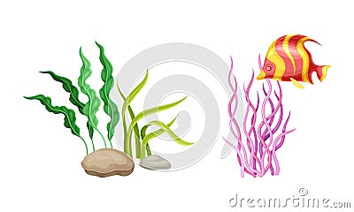 Underwater marine plants and fish. Algae seaweeds, aquarium flora and fauna cartoon vector illustration Vector Illustration