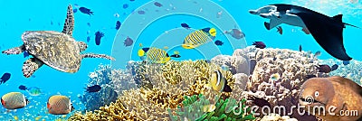 Underwater panorama Stock Photo