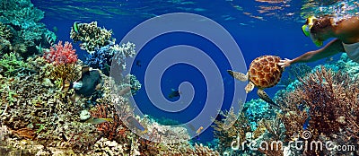 Underwater panorama in a coral reef with colorful sealife Stock Photo