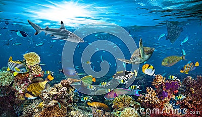 Underwater paradise coral reef colorful fish background Stock Photo