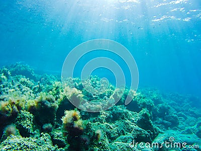 Underwater photograph of rock formations in the Mediterranean Sea Stock Photo
