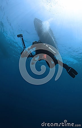 Underwater Photographer Stock Photo