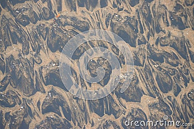 Underwater Sand Pattern - Abstract Design Background Stock Photo