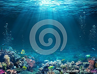 Underwater Scene - Tropical Seabed With Reef Stock Photo