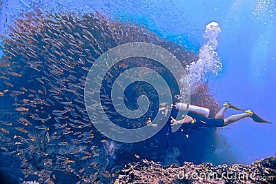 Underwater scenery with a scuba diver Editorial Stock Photo