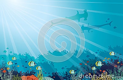 Underwater sea - Hummerhead sharks, coral reef, butterfly fish. Cartoon Illustration