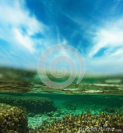 Underwater shot Stock Photo