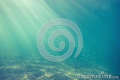 Underwater shot with sunrays and fish in deep tropical sea Stock Photo