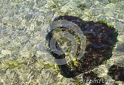 Underwater stone heart Stock Photo