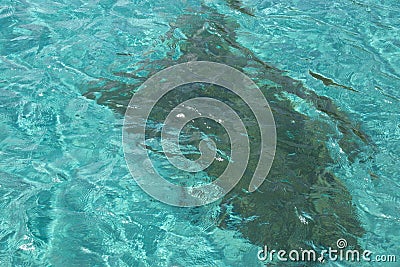 Underwater Stone Stock Photo