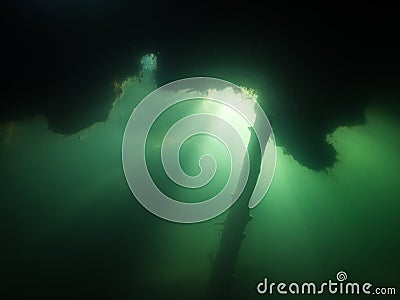 Underwater sunrays below floating peat layer at bog lake Stock Photo