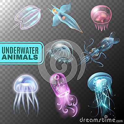 Underwater Transparent Icon Set Vector Illustration