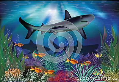 Underwater tropical card with shark Vector Illustration