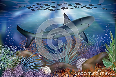 Underwater tropical wallpaper with Shark Vector Illustration