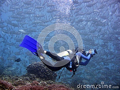 Underwater Videographer Stock Photo