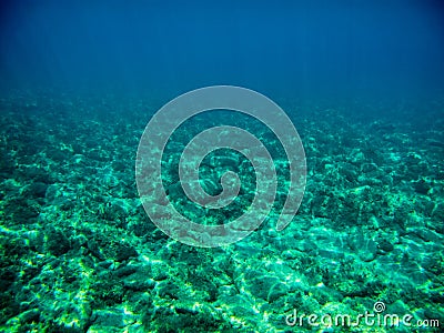 Underwater Stock Photo
