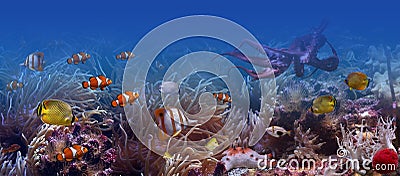 The underwater world Stock Photo