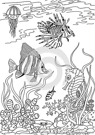 Underwater world. Animals of the tropical seas. Freehand sketch drawing for adult antistress coloring book Vector Illustration