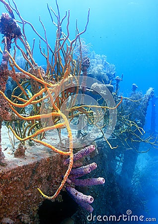 Underwater wreck Stock Photo