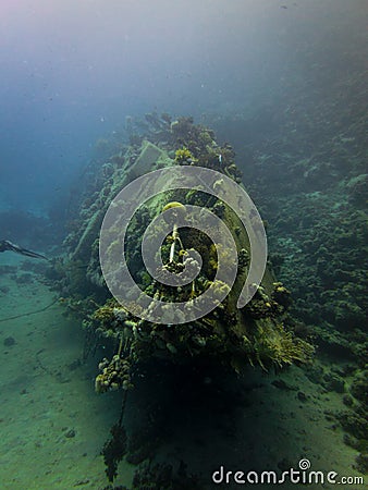 Underwater Wreck in Red sea Stock Photo