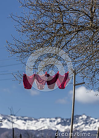 Underwear on a clothesline Stock Photo