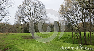 Undeveloped Residential Property Land Stock Photo